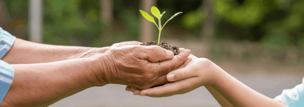 Environment Protection In The Current Real Estate scenario