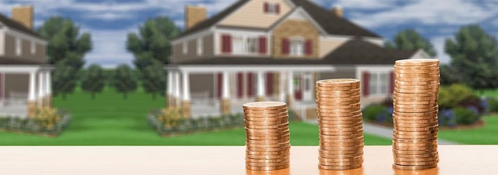 Real Estate Investor Insight