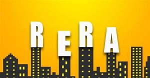 Review of Real Estate Projects and quarterly compliance as per RERA Rules.